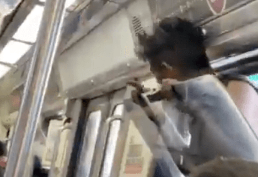 VIDEO: Hombre muere por ir colgado en el tren ligero de Guadalajara